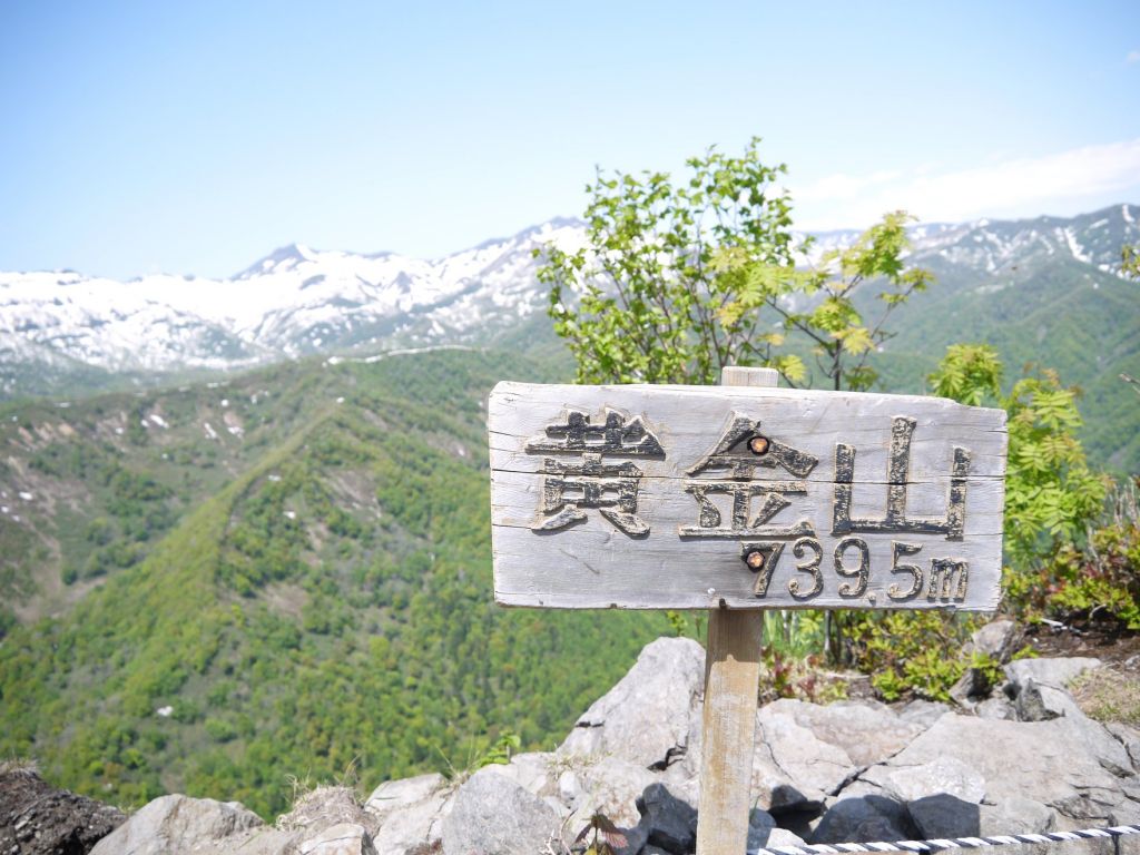 黄金山に登りました