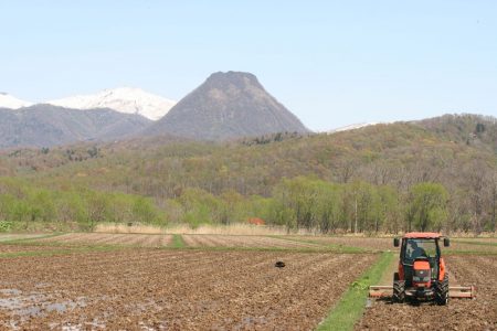 今年度は黄金山登山ができません…