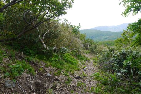 【北海道遺産】増毛山道のクラウドファンディングにご協力を！